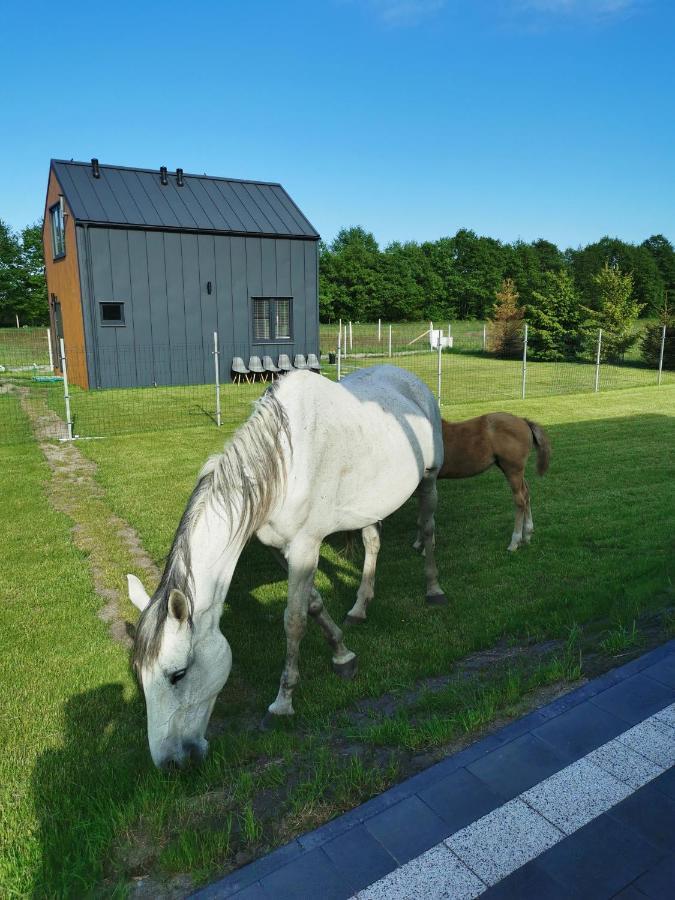 Domek Zielony Zakatek Villa Slajszewo Eksteriør bilde